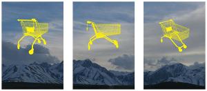 Natural Paradigm, by Maura Harrington.