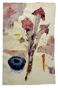 Flora Brasilinesis 121