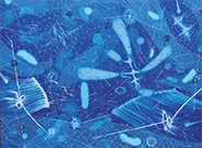 Midnight Sun, by John Anderson.