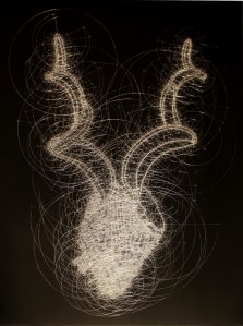 Kudu, by Chris Taggart.