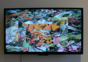 Homage to the Wind, by Gail Wight.