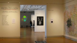 Installation view, "Drought" in background.