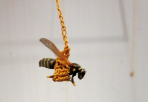 42 Wasps, by Esther Traugot, detail