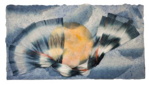 Ocean Dream, by Sarah Brayer.