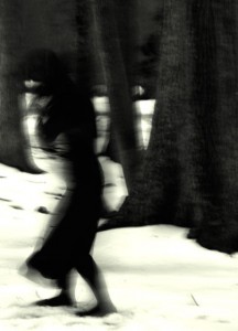 Winter Shadows, Jamie Azevedo.